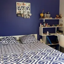 Annonce 312 - photo 7