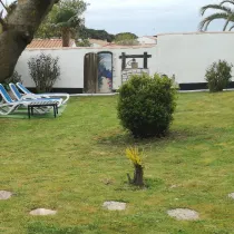 Annonce 318 - photo 12